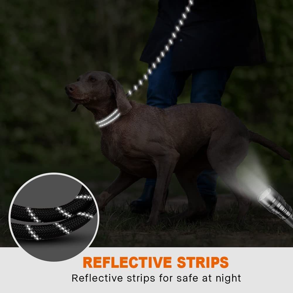 Hands-Free Reflective Dog Leash with Adjustable Waist Belt – Elastic Jogging Lead with Padded Handle for Running & Training