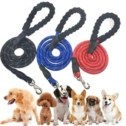 Hands-Free Reflective Dog Leash with Adjustable Waist Belt – Elastic Jogging Lead with Padded Handle for Running & Training