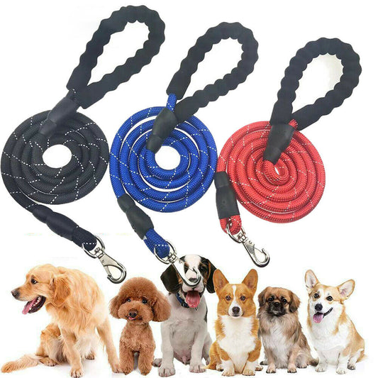 Hands-Free Reflective Dog Leash with Adjustable Waist Belt – Elastic Jogging Lead with Padded Handle for Running & Training