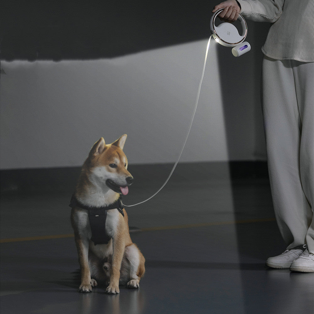 Automatic Lighting Premium Dog Leash